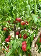 Fejér megye - Dunaújváros