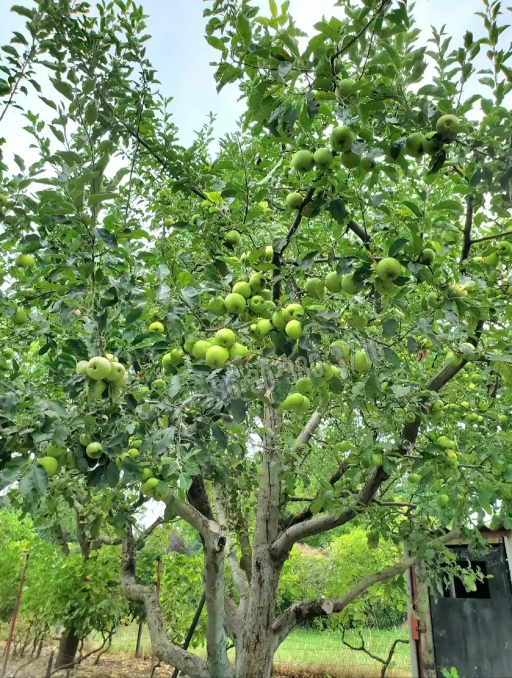 Fejér megye - Dunaújváros