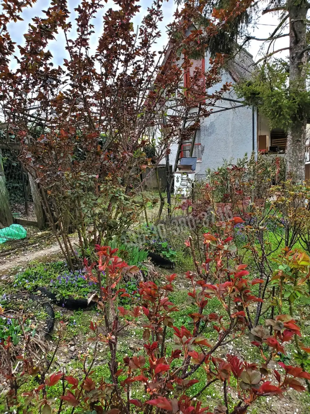 Fejér megye - Dunaújváros