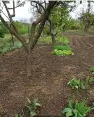 Fejér megye - Dunaújváros